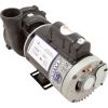 3721221-1D Pump WW Exec 3.0hp 230v 2-Spd 56fr 2