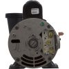 3420610-1UHZN Pump WW Ex2 1.5SPL US Motor 115v 2-Spd 48fr 2