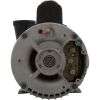 3721621-13HZN Pump WW Exec 4.0hp USMotor 230v 2-Spd 56fr 2-1/2