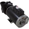 3721621-13HZN Pump WW Exec 4.0hp USMotor 230v 2-Spd 56fr 2-1/2