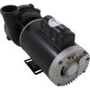 3721221-13HZN Pump WW Exec 3.0hp USMotor 230v 2-Spd 56fr 2-1/2