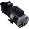  PumpWW Exec5.0hp230v1-Spd56fr2