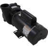 3421221-13HZW Pump WW Exec 3.0SPL Century 230v 2-Spd 48fr 2-1/2