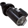 6500-343  Replacment Genirc  Spa Pump  2-Spd 2.5hp 230v 60Hz OEM  Replaces   6500-343 , 903234
