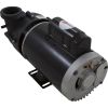 1016024HZN Pump BWG Vico Ultimax 3.0hp US Motor230v 2-Spd 56fr 2