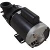 1016012-2HZW Pump BWG Vico Ultimax 2.0hp Century 230v 2-Spd 56fr2