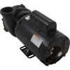  Pump Aqua Flo XP2e 4.0hp Century 230v 1-Spd 56fr 2