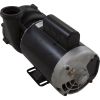 05325761-2000HZW Pump Aqua Flo XP2e 2.5hp Century 230v 2-Spd 56fr 2