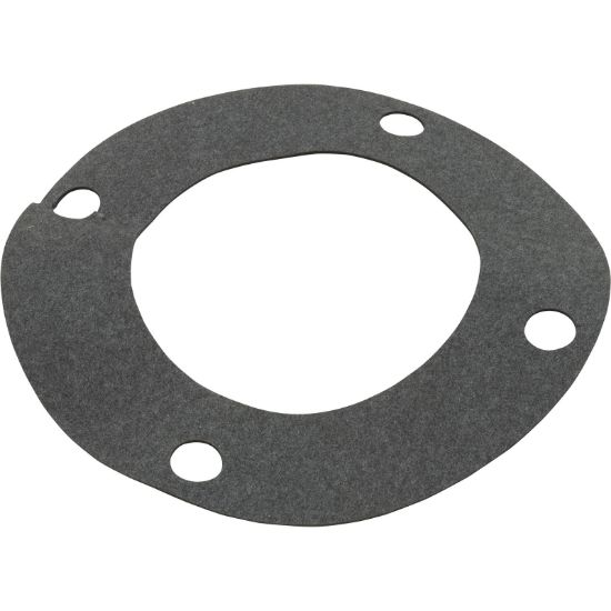 070943 Gasket Pentair C-Series Flange
