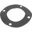 070943 Gasket Pentair C-Series Flange