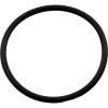 39101600 O-Ring Pentair American Products Americana II Seal Plate