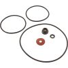 RPK-SP Repair Kit Water Ace RSP Includes Seal & O-Rings