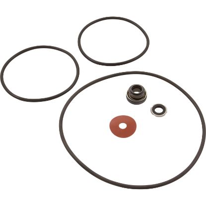 RPK-SP Repair Kit Water Ace RSP Includes Seal & O-Rings