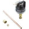 HAXPSA1930 Press Sw Assy Hayward CPS/H-Series/ID/Low NOx/ED2 w/Tubing
