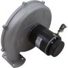77707-0251 Blower Kit Pentair MasterTemp 175/200/Max-E-Therm 200 Nat.