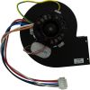 R0455600 Blower Zodiac Jandy LXi with Gasket