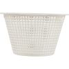 B-172 Basket Skimmer American Products/ FAS Generic