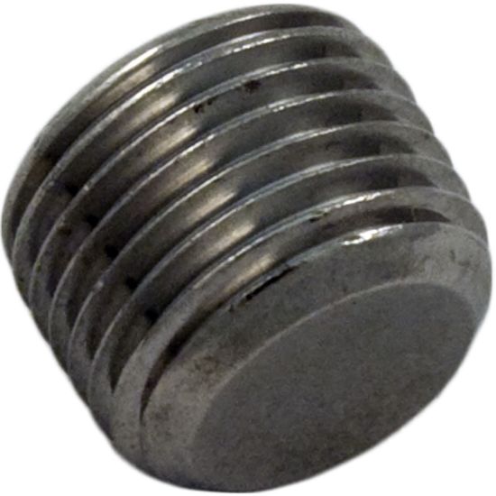  Heater Plug 1/8" Male Pipe Thread Stainless Steel