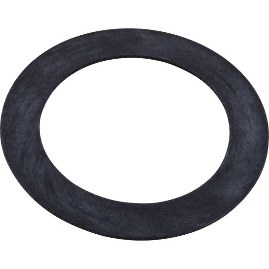 552406 Gasket Pentair SPA/AG Wall Fitting