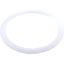 47930000 Gasket O-Ring Balboa Water Group Cyclone Jet
