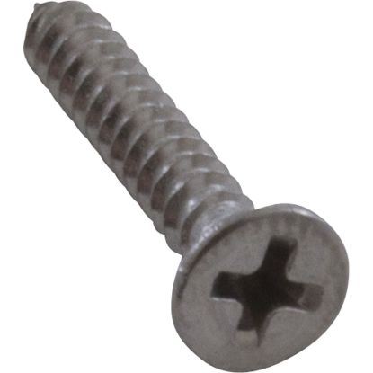 10-6111SS Screw Balboa Water Group/HAI Hydrossage 4 x 3/4