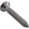 10-6111SS Screw Balboa Water Group/HAI Hydrossage 4 x 3/4