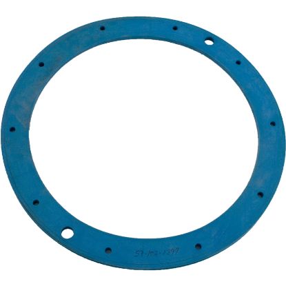 05161-0004 Light Niche Liner Gasket Sta Rite Large
