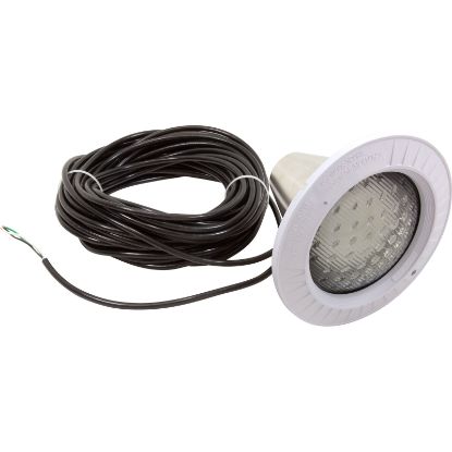 W3SP0582L100 Pool Light Hayward Astrolite LED115v100ft Cord Plastic