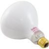 R40FL500/HG Replacement Bulb Flood Lamp 500w 115v