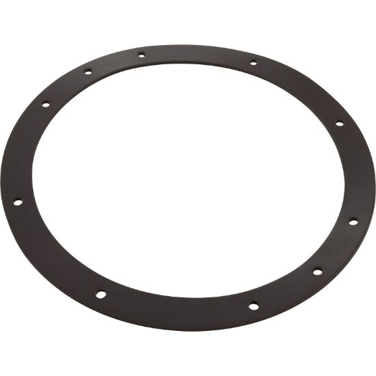 G-435 Gasket Sta Rite Vinyl Liner Light Niche Generic