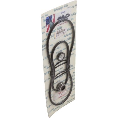 65005 Pump Rebuild Kit 5 Challenger Pump Generic