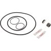 65005 Pump Rebuild Kit 5 Challenger Pump Generic