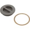 25542-001-000 1.5In Npt Flat Plug Gray