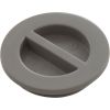 25542-001-000 1.5In Npt Flat Plug Gray