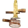 SMX305099006 Valve-Expansion10 Ton