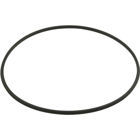 DEX2422Z2 Gasket Hayward SwimclearTank Lid19-13/16