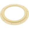 ECX1039 Gasket Hayward Perflex EC30 Tube Sheet