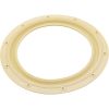 ECX1039 Gasket Hayward Perflex EC30 Tube Sheet