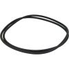 24750-0005 O-Ring Pentair Sta-Rite DEP/High Rate 20