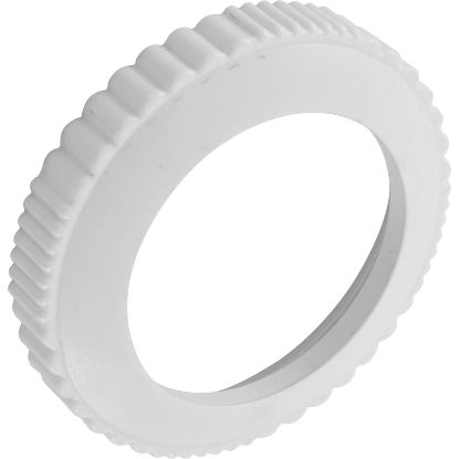 072503 Screw Cover Pentair Return Line Check Valve