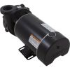 3410612-10HZW Pump WW Hi-Flo 1.5hp Century Conv 1-Spd 48fr 2