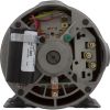  PumpWW E-Series2.0hp230v2-Spd48fr1-1/2