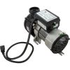 321HF10-0150 Pump Bath Waterway Genesis 7.5A 115v 1-1/2