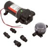 4125-504A Pump Xylem Flojet 4100 Quad 24VDC 0.7A 5.0GPM