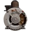 5235212-S Pump BWG Vico Ultimax 3.0hp230v2-Spd56fr2
