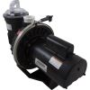 343233 Pump Pentair Challenger High Flow1.0hp115/230v2