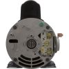 01810000-1010HZN Pump Aqua Flo TMCP 1.0SPL USMtr 115v2-Spd 48fr 1-1/2