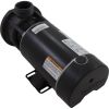 04215002-5010HZW Pump Aqua Flo TMCP 1.5hp Century Conv 1-Spd 1-1/2