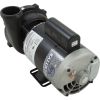 3721221-13 Pump WW Exec 3.0hp 230v 2-Spd 56fr 2-1/2