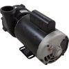 3721621-1WHZW Pump WW EX2 3.0hp Century 230v 2-Spd 2